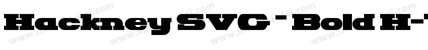 Hackney SVG – Bold H字体转换